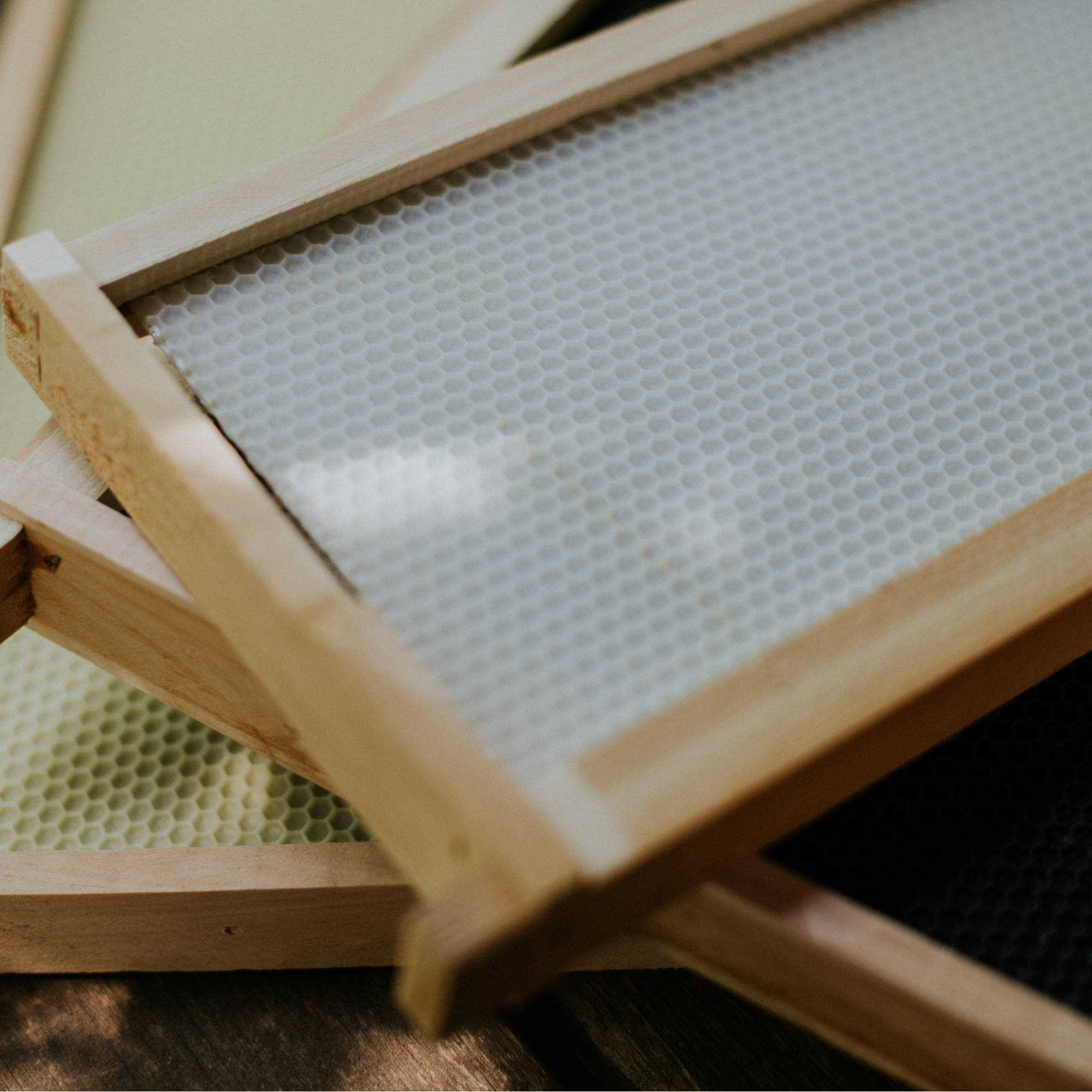 Cell Sizes of Bee Foundation Explained