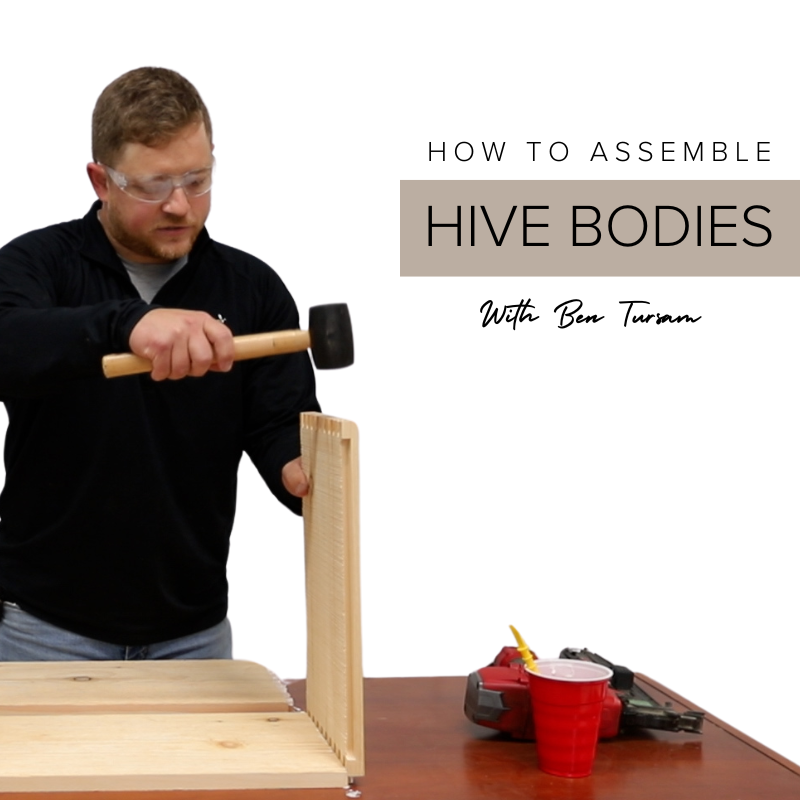 How To Assemble a Pura or Propola Hive Body With Ben Tursam!