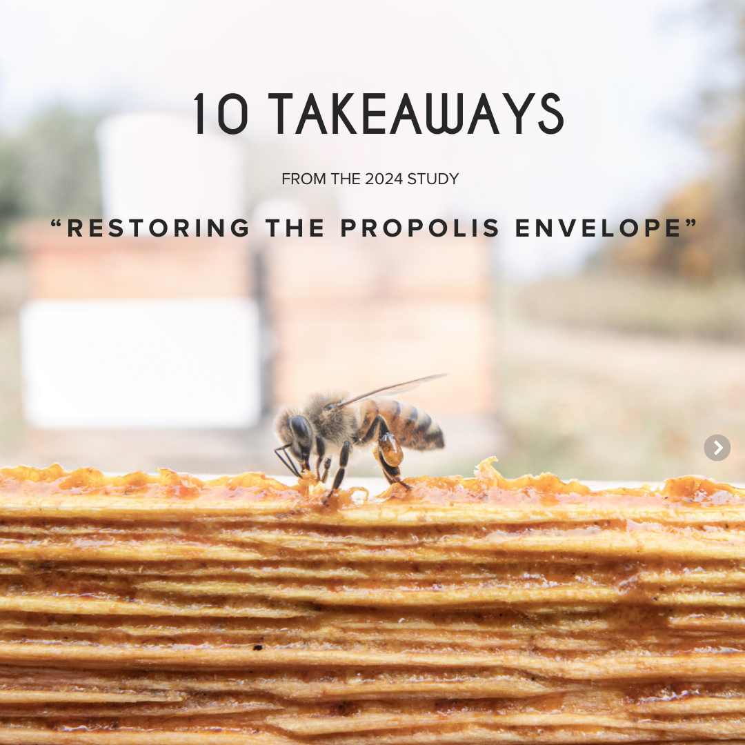 10 Takeaways from the 2024 Study&nbsp;“Restoring the Propolis Envelope”