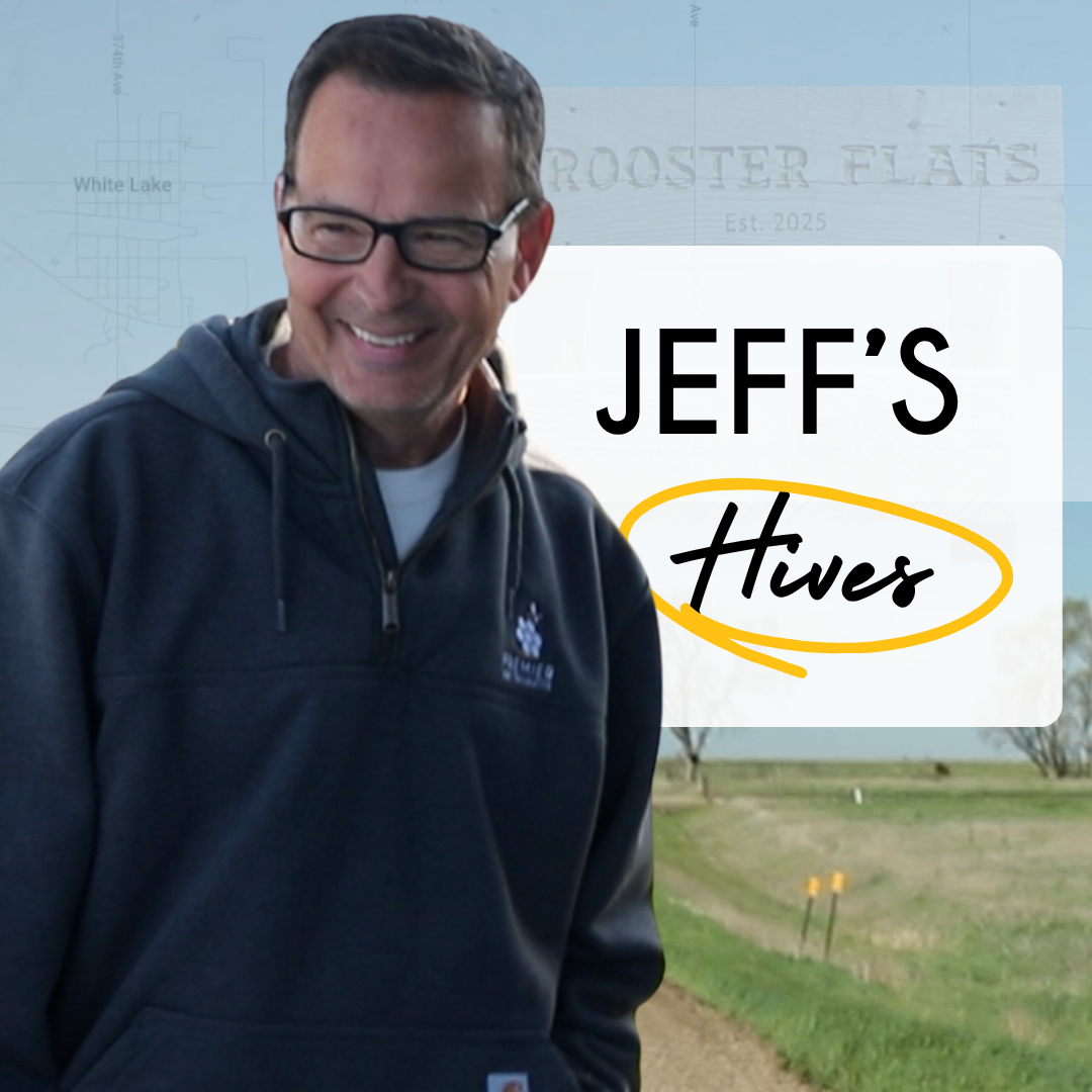 Jeff's Hives