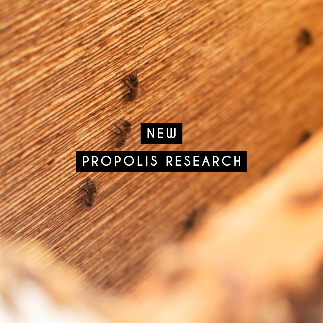 Propolis Proven To Destroy Viruses
