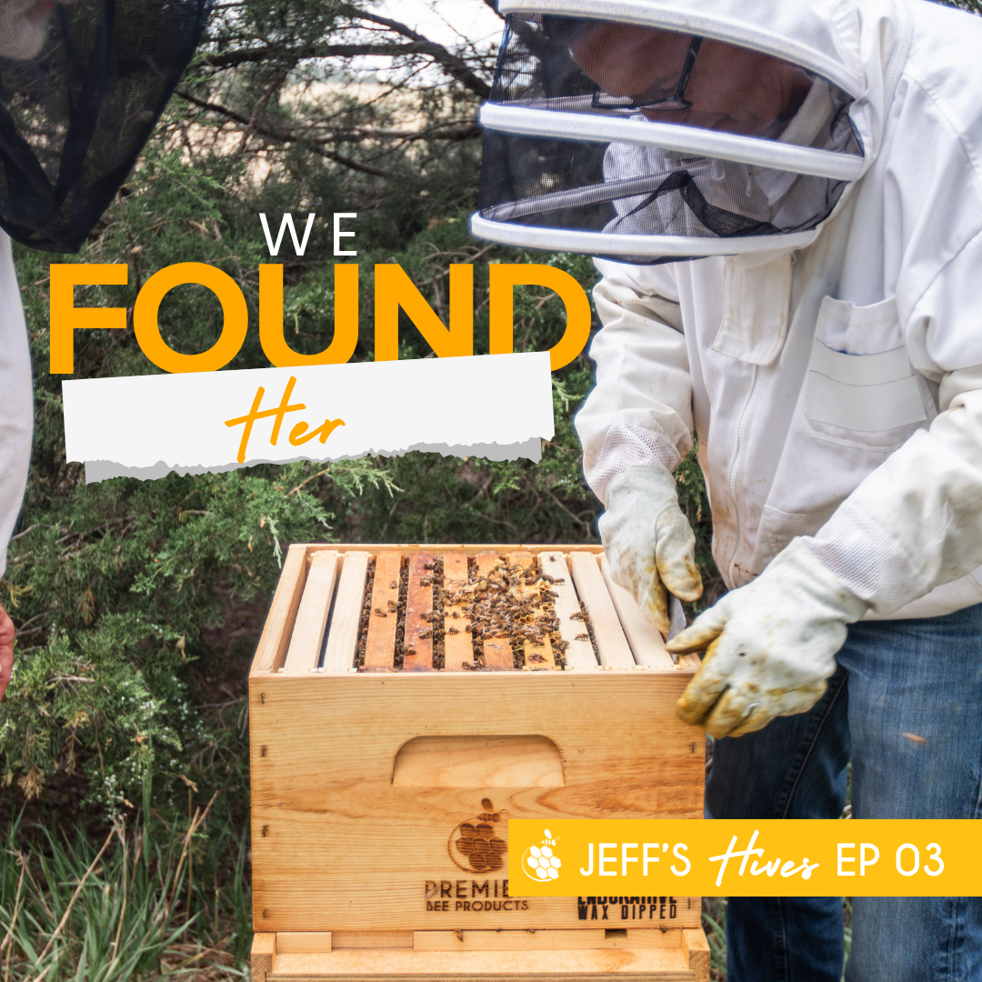 Jeff's Hives Ep 03 is Live!