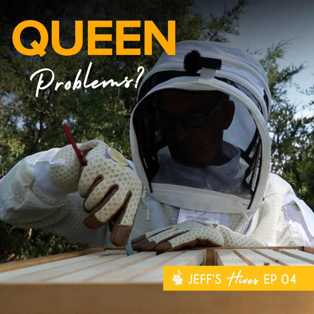 Jeff's Hives Ep 04 is Live!