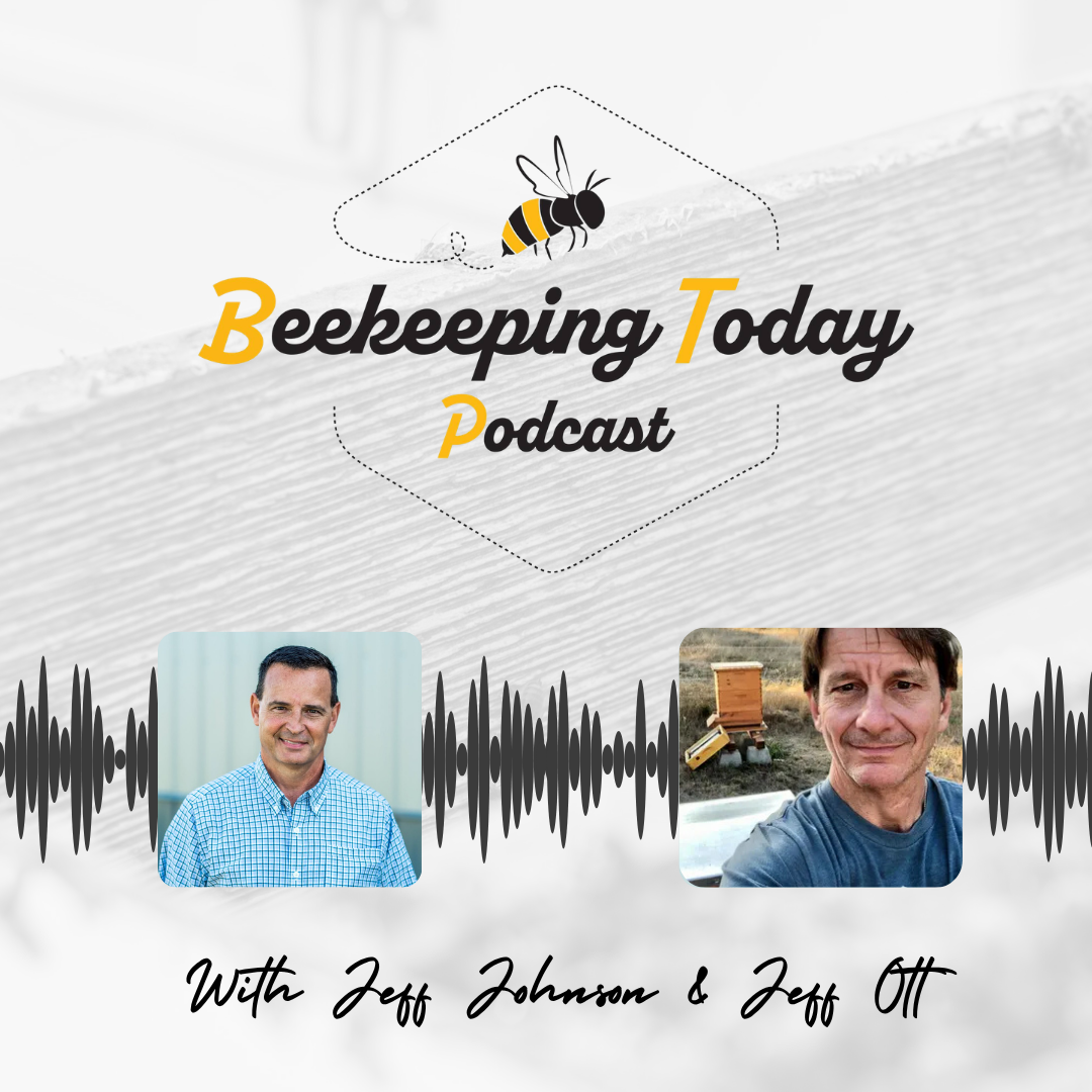 Talking With the Beekeeping Today Podcast