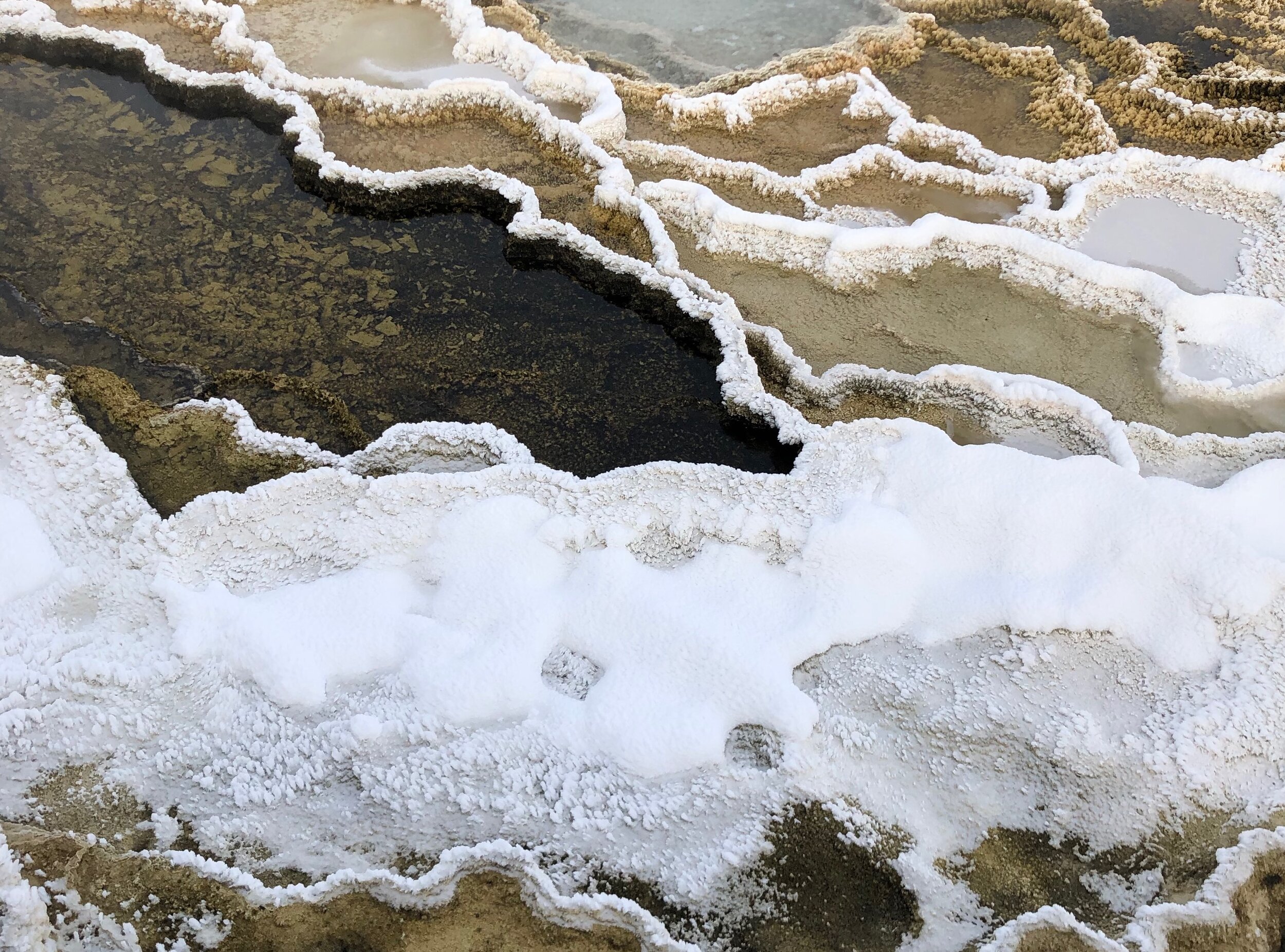 U OF U AND YELLOWSTONE ARE FOSTERING THE NEXT GENERATION OF DESIGN LEADERS