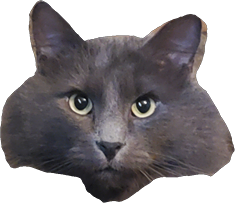 blanco face.png