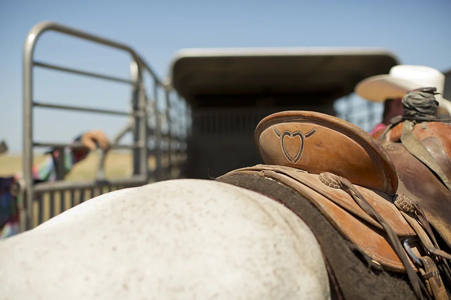 MJFP0407 heart bulls copy.jpg