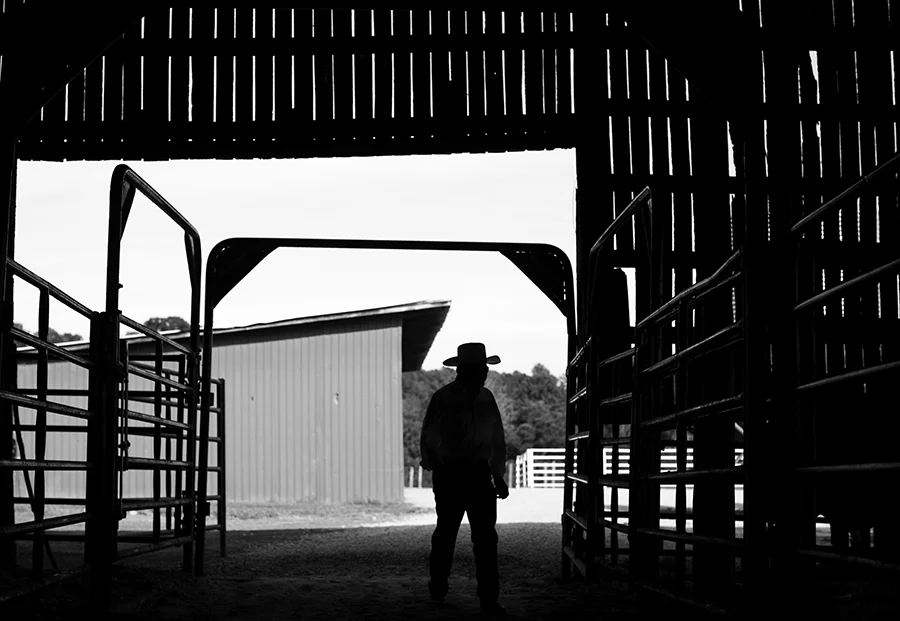 MJFP1421 cowboy silhouette copy.jpg