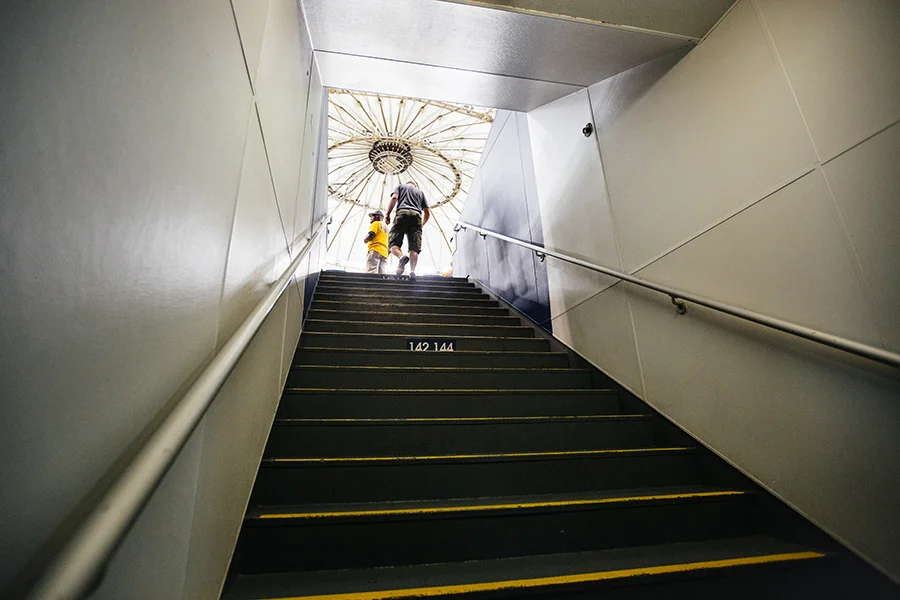 2016JUL16_RAYSBASEBALL_MFPB0426 copy.jpg