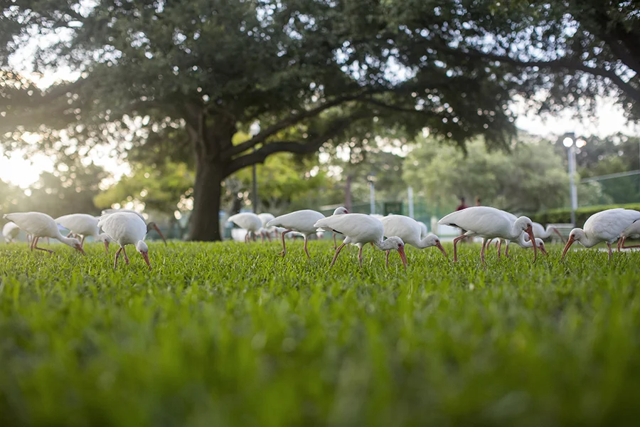 2014AUG09_CRESCENTLAKE_MJFP3362 copy.jpg