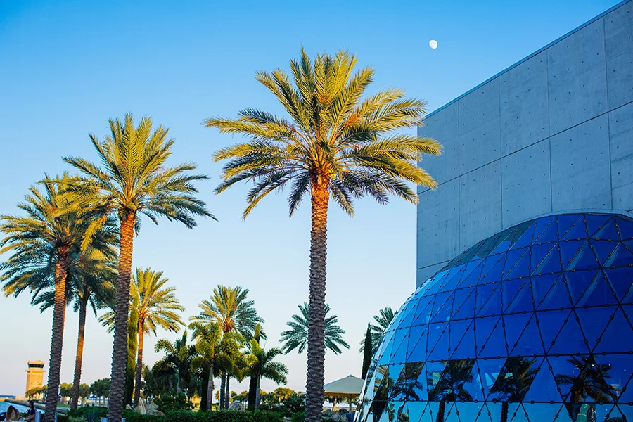 2014NOV03_DALI_MJFP8909 copy.jpg