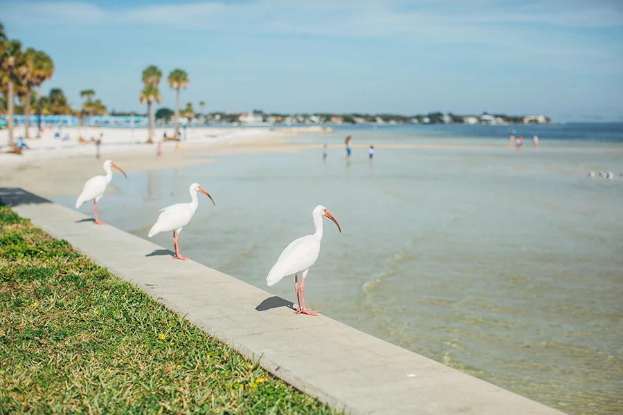 2015JAN31_WATERFRONT_MJFP0453 copy.jpg