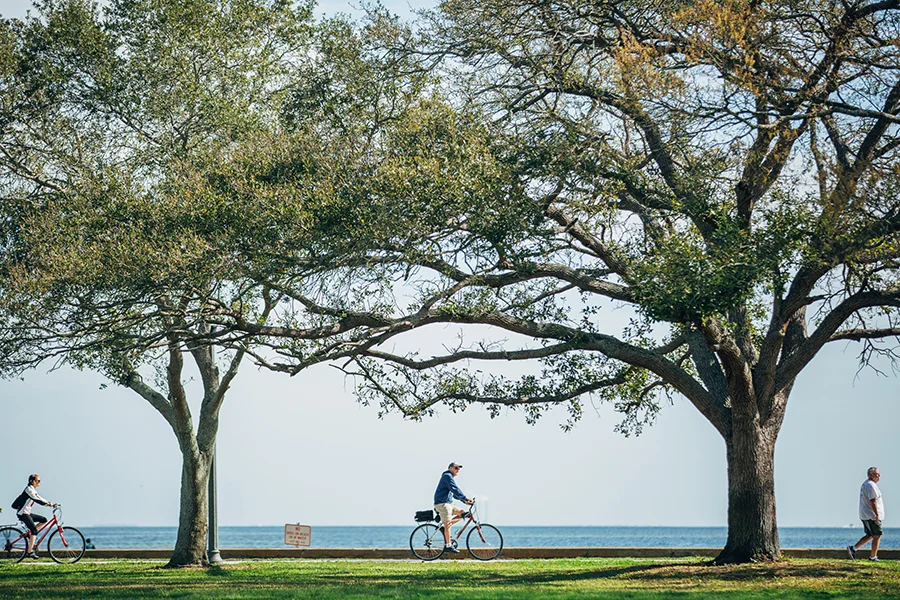 2015JAN31_WATERFRONT_MJFP9888 copy.jpg