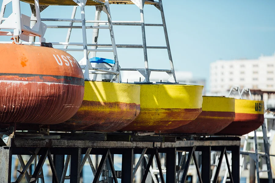 2016JAN12_BAYBORO_MJFP2184-2 copy.jpg