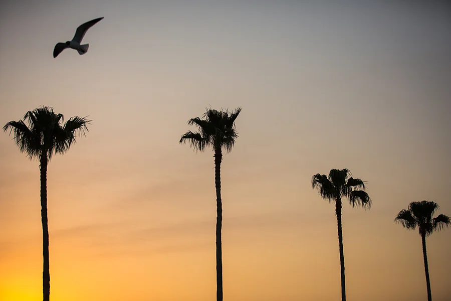 2016MAR13_INDYRACE_MJFP4564 copy.jpg