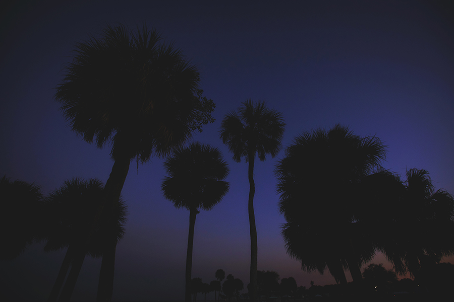 2017MAR17_WATERFRONTSUNSET_MFM45109B copy.jpg