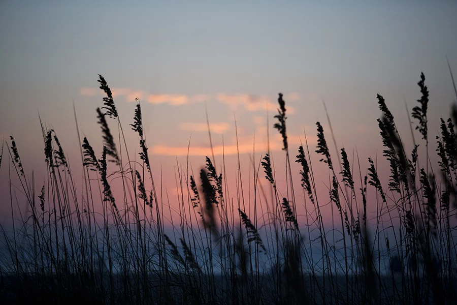 MJFP4235 beach sunset copy.jpg
