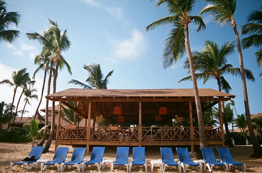 70530018 the chairs copy.jpg