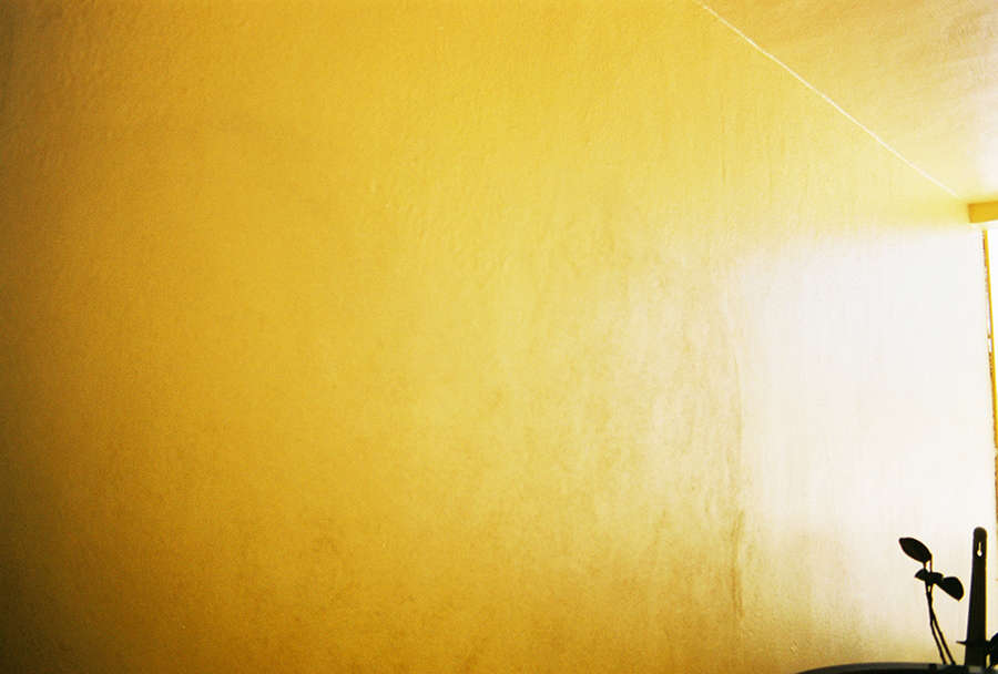 8106677447_3e44c3373f_o copy.jpg