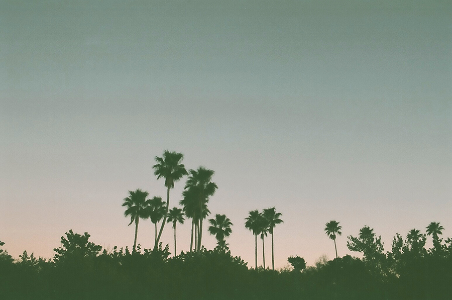 8445665797_4bf3fae854_o copy.jpg