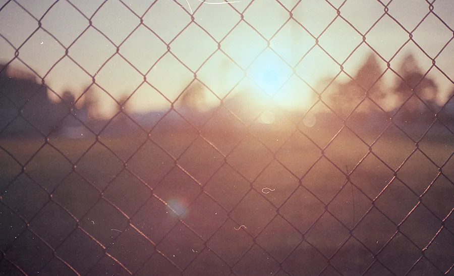 img653 sunset fence_B copy.jpg