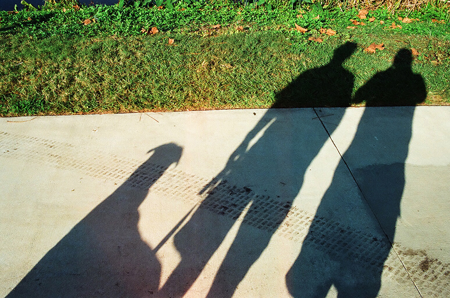 09850029 dog walk shadows copy.jpg