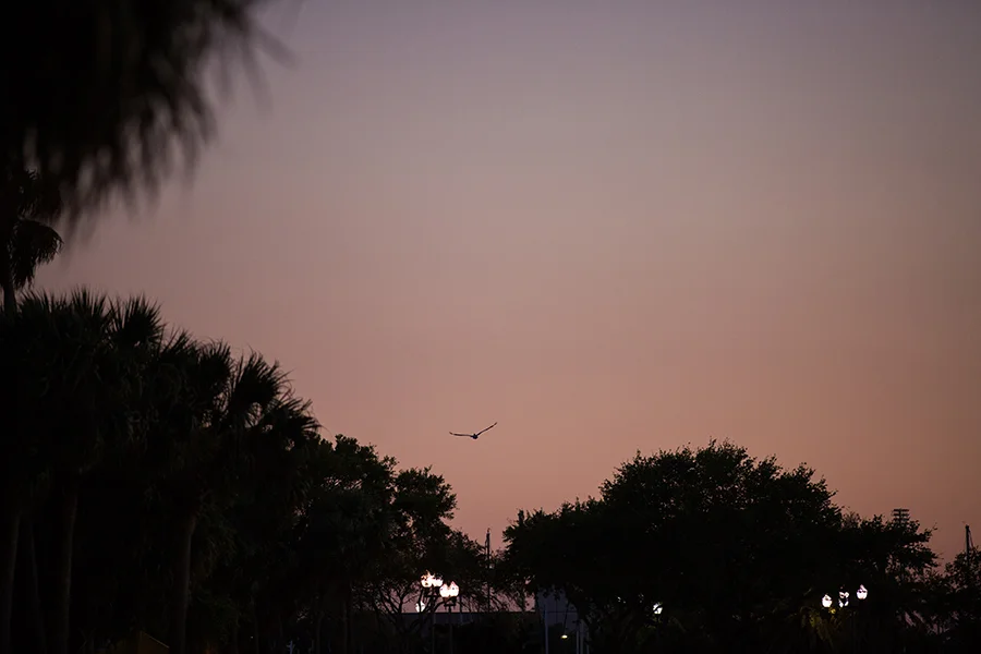 2017MAR17_WATERFRONTSUNSET_MFPB3432 copy.jpg