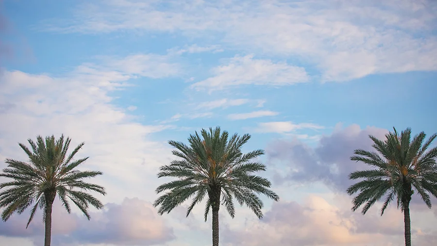 2017MAY12_CUBANAMBASSADOR_MFM47958B copy.jpg