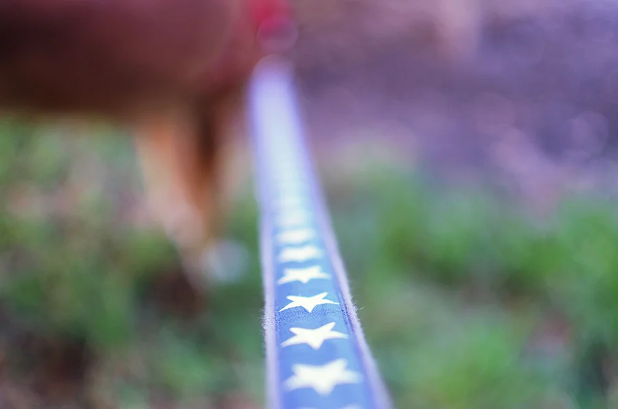 WWF_1109 sally 1_B copy.jpg