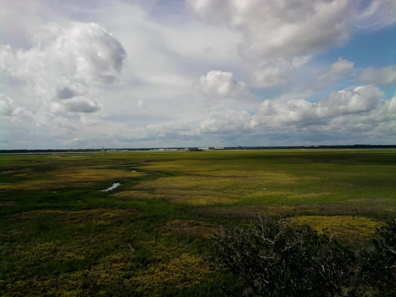 Stubbs - marsh view-2.jpg
