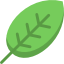 leaf.png