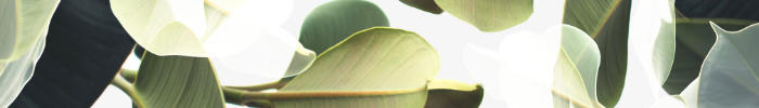 WM page footer-2.png