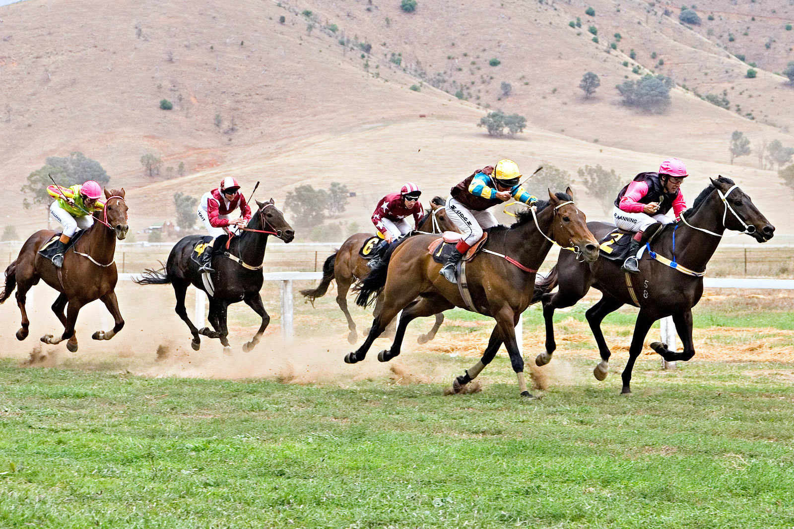 Tambo_valley_races_2006_edit.jpg