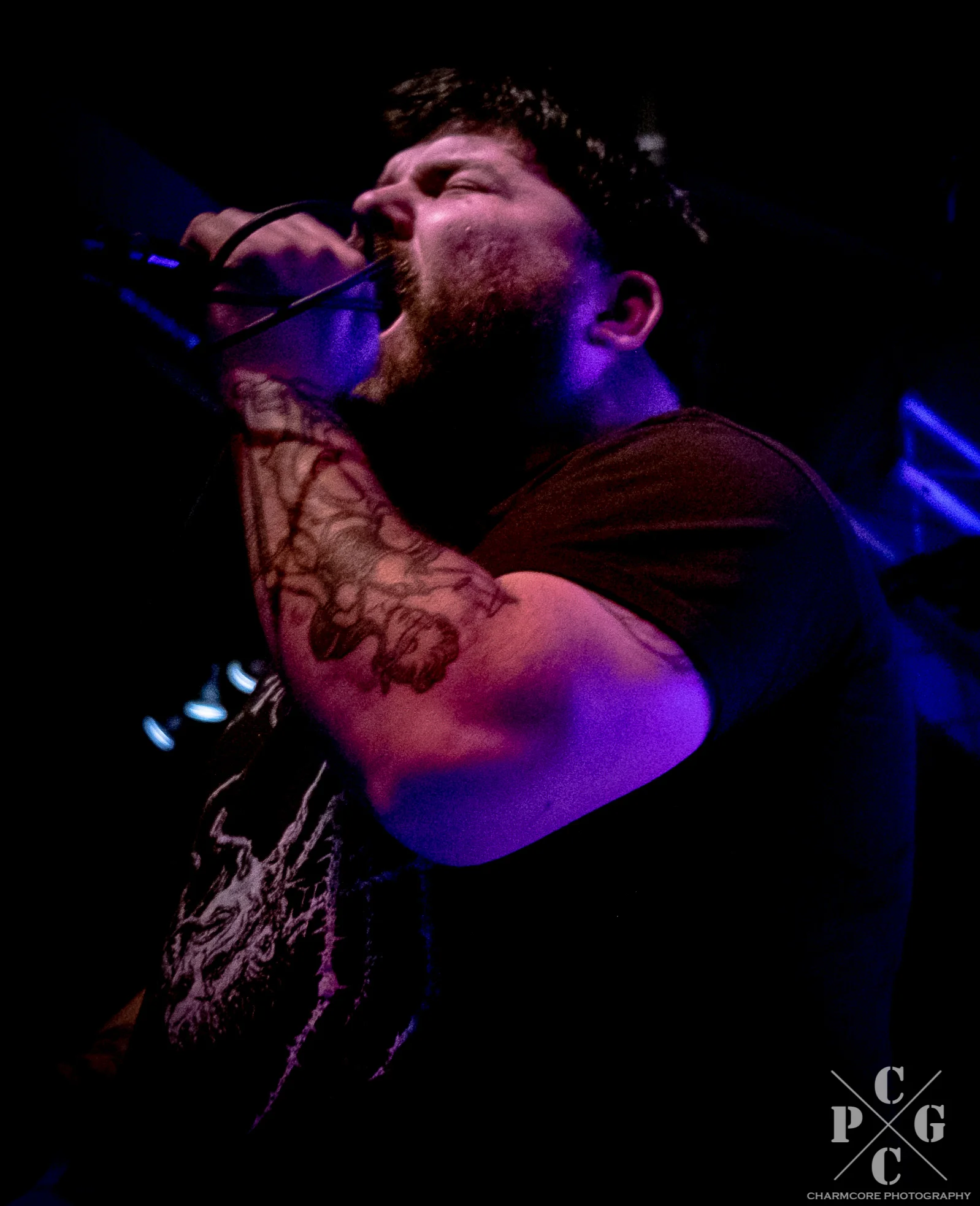 Iron Chic