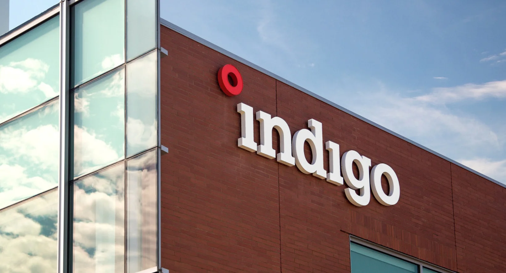 indigo-04.jpg