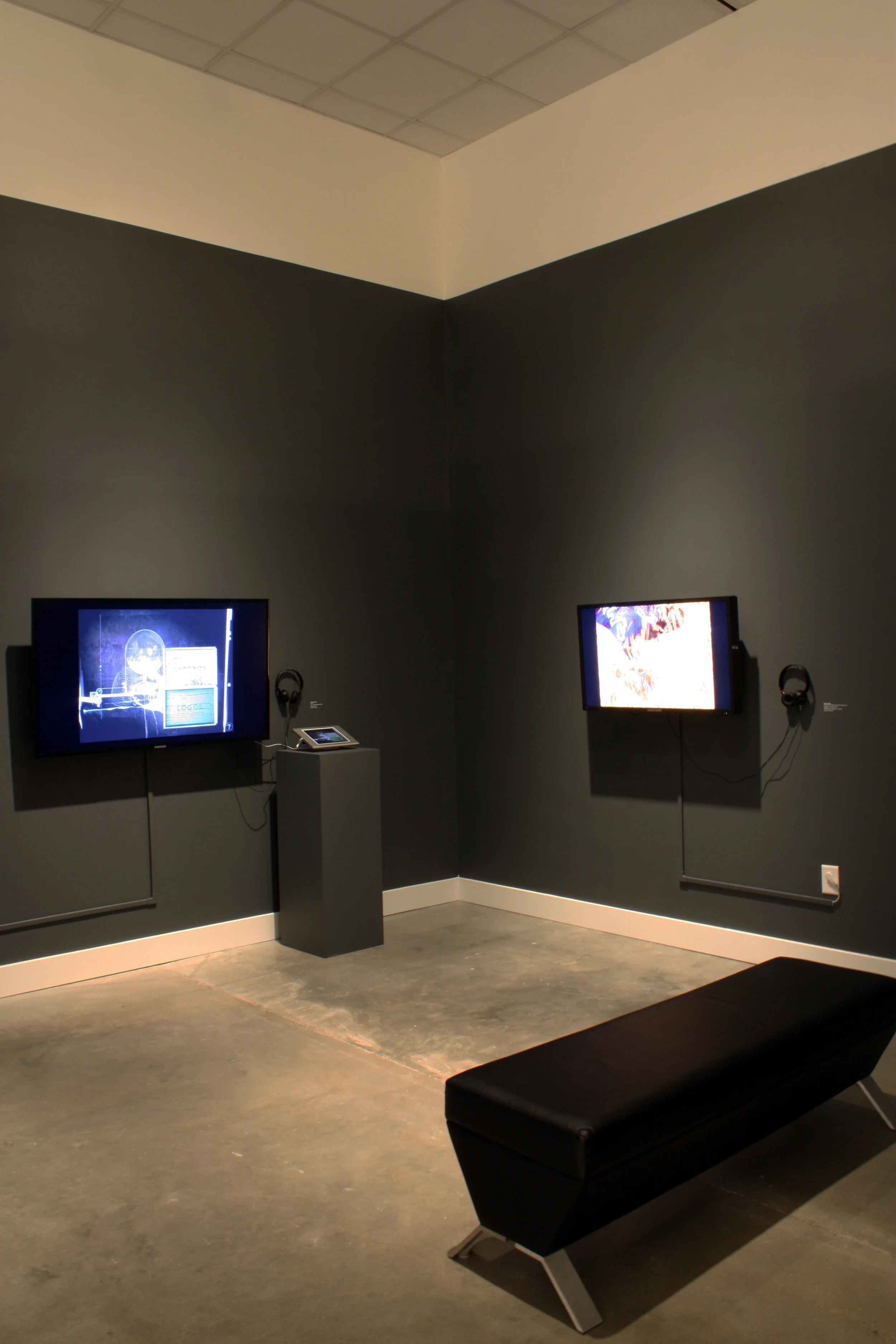 Parallel Tales , group exhibition, 2015, Zuckerman Museum of Art, Atlanta, GA Curator, essayist, and exhibition design Included artists: Steve Tomasula, Krista Hoefle, Sarah Edmands Martin