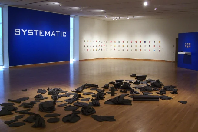 Systematic , group exhibition, 2007, South Bend Museum of Art, South Bend, IN Curator, essayist, and exhibition design Included artists: Thom McGovern, Dean Randazzo, Vera Skecic, Miranda Maher, 