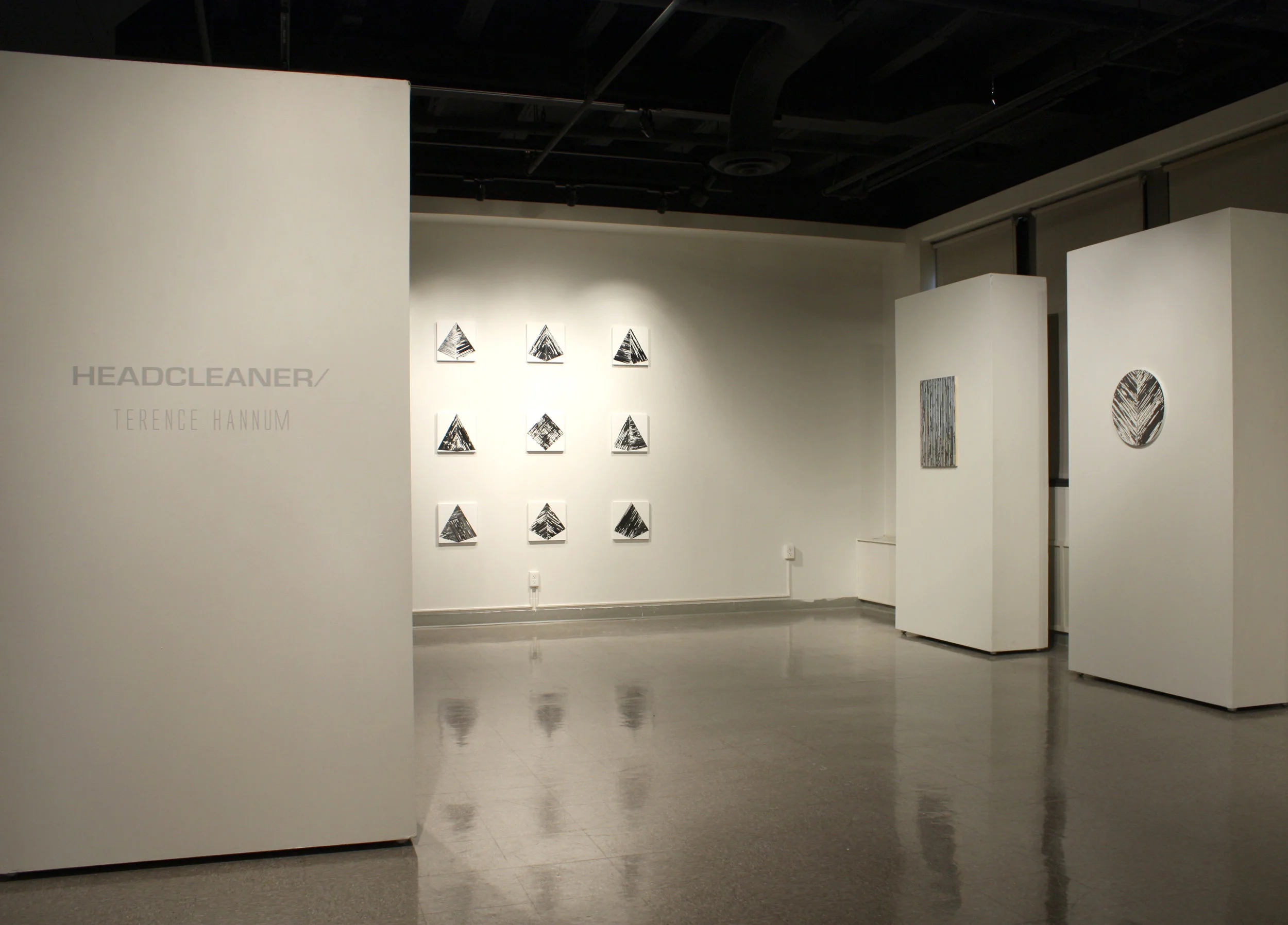 Terence Hannum: Headcleaner/ , solo exhibition, 2017, A|AH|D Gallery, University of Notre Dame, Notre Dame, IN Curator and exhibition design