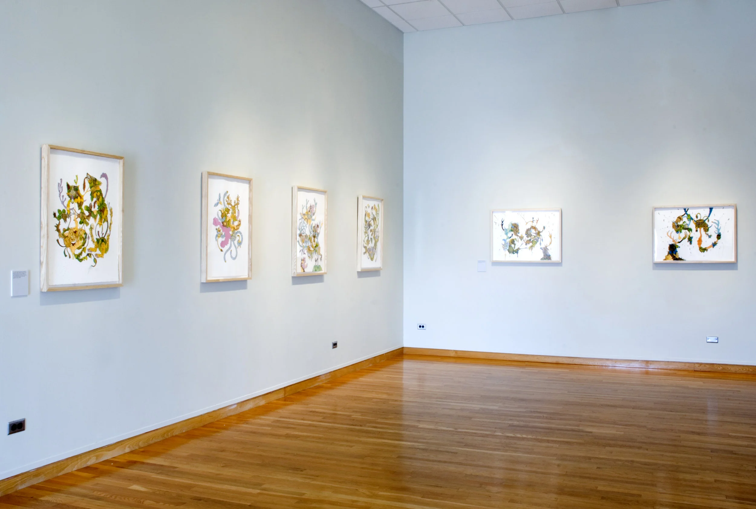 Fauna: Steve Seeley and Jane Ryder , South Bend Museum of Art, 2009 Curator and exhibition design