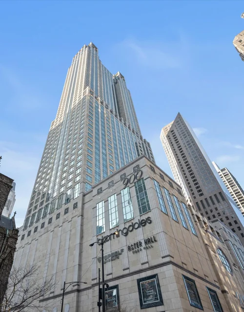 132 E Delaware pl #5106 photo 3