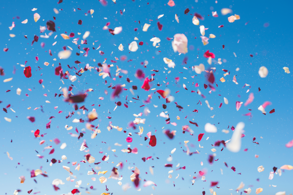 Flower Drop.png
