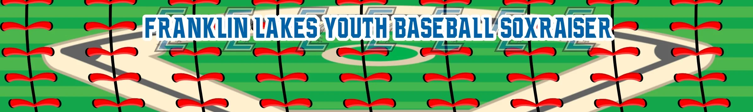 FL Sox Raiser Banner Baseball.jpg