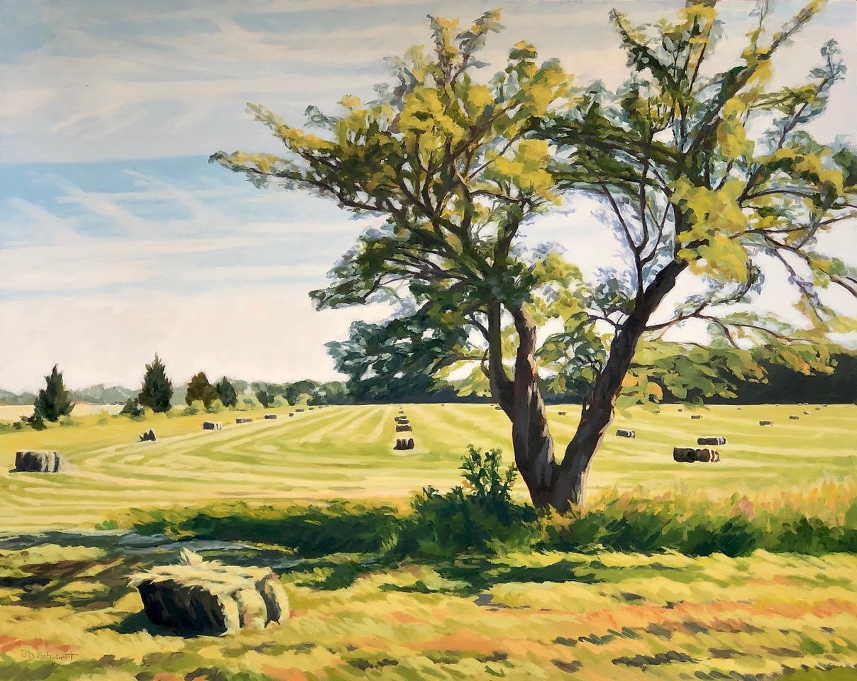 shade tree in hayfield.jpeg
