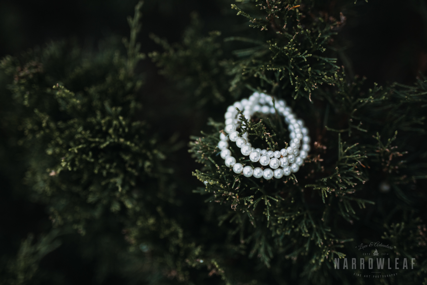 bride-details-pearls-florian-gardens-summer-wedding-wisconsin-55.jpg
