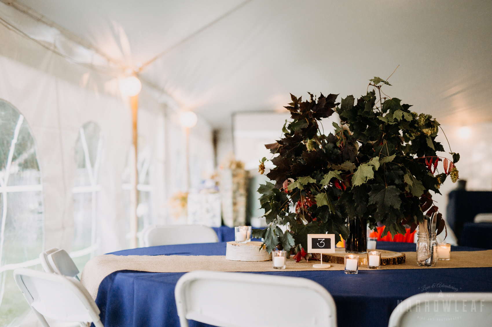 greenery-vine-head-table-decor-tent-wedding-reception--33.jpg