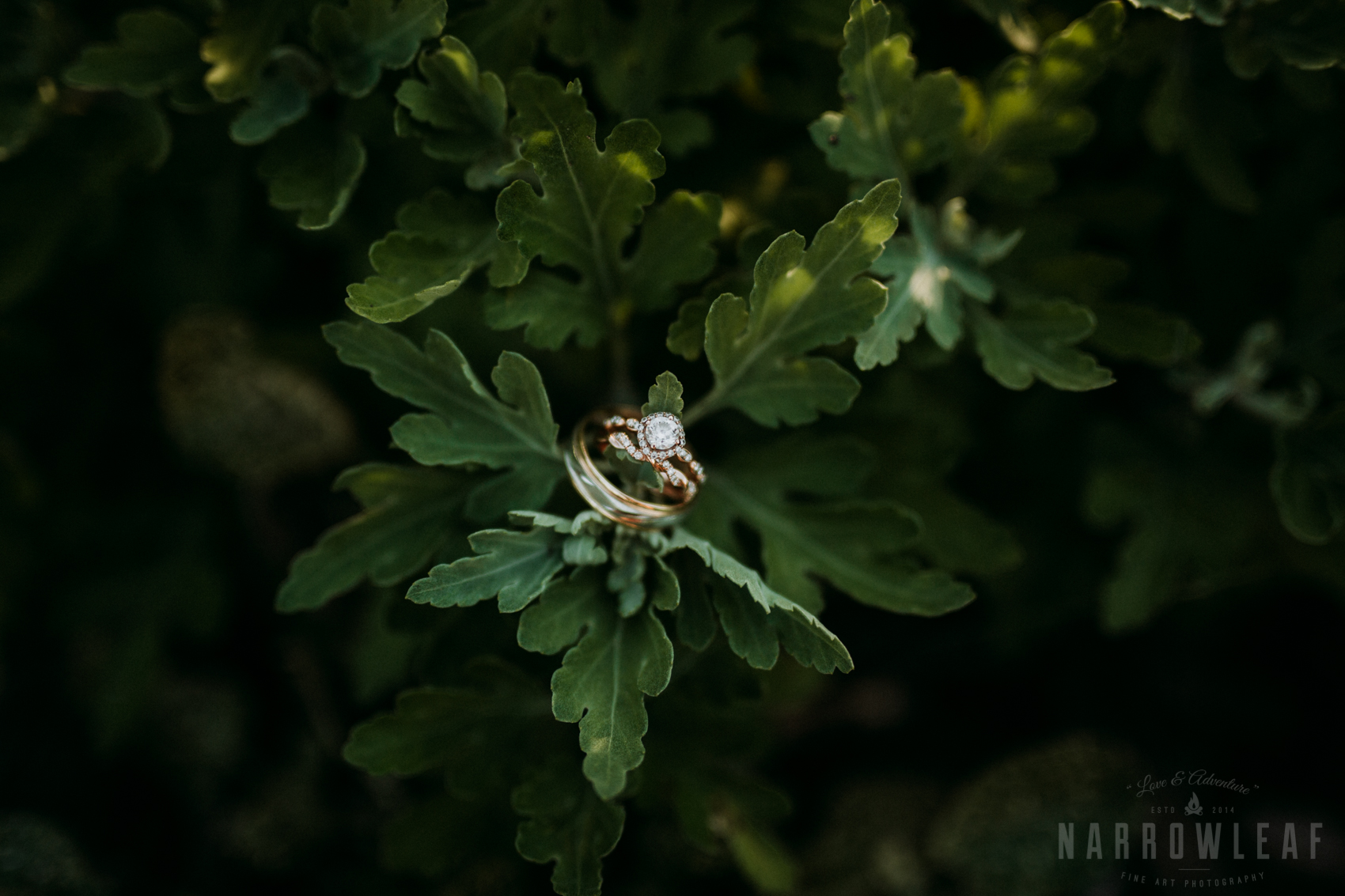 outdoor-wedding-ceremony-rustys-hitching-post-event-center-new-richmond-wi-81.jpg