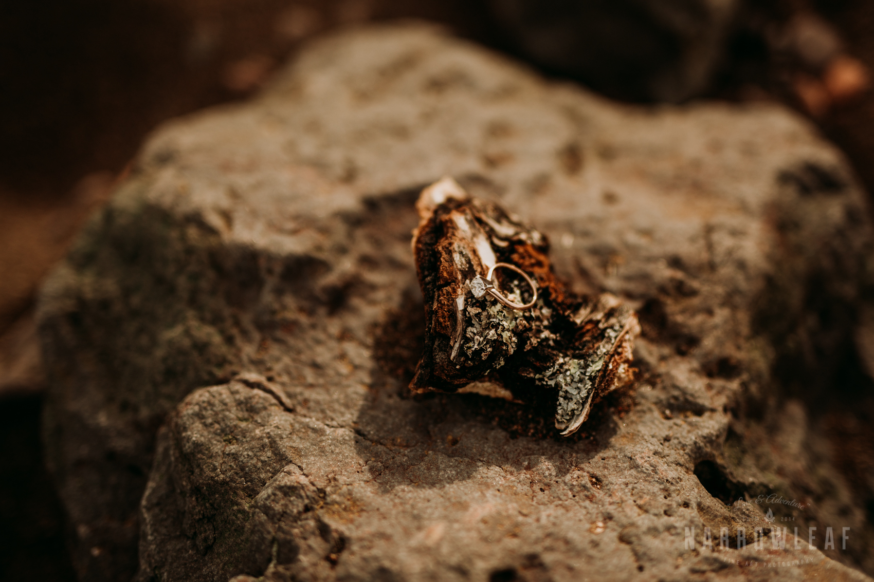 spring-hiking-engagement-two-harbors-lake-superior-NarrowLeaf-Photography-9902.jpg