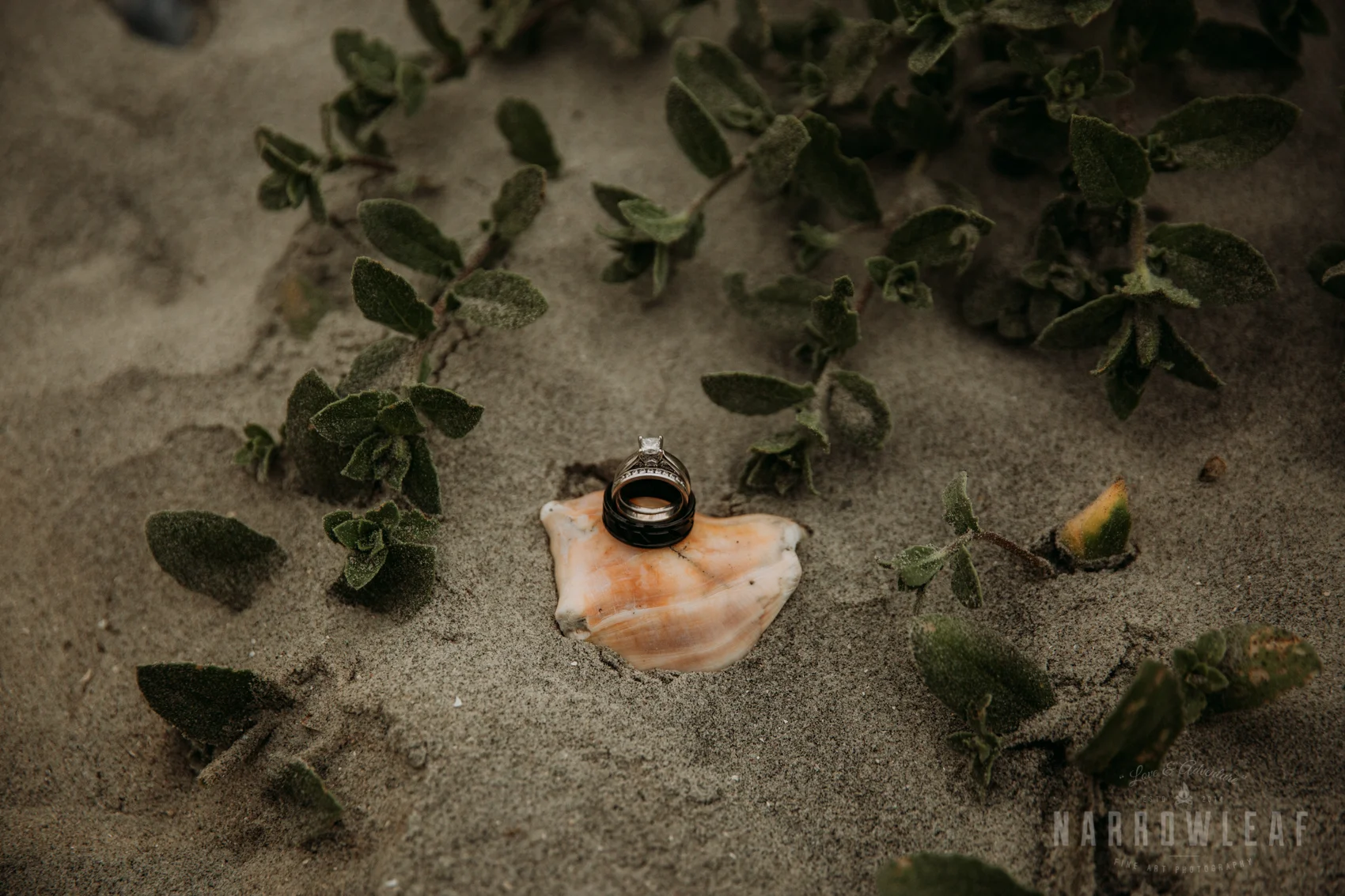 south-carolina-folly-beach-destination-wedding-NarrowLeaf_Love_&_Adventure_Photography-2821.jpg
