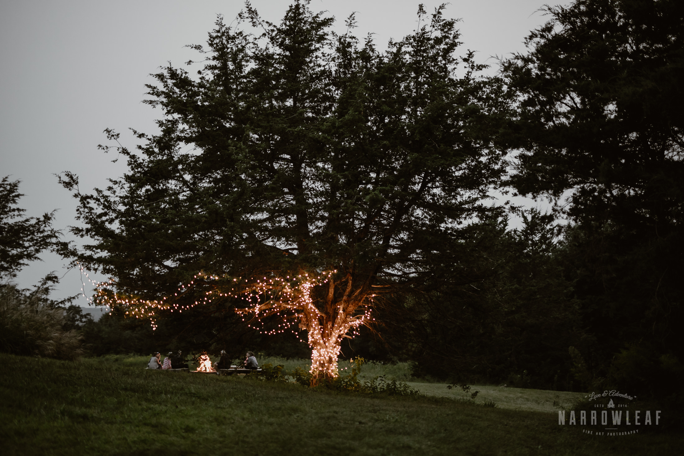 wisconsin-wedding-photographer-Narrowleaf_Love_and_Adventure_Photography-4102.jpg