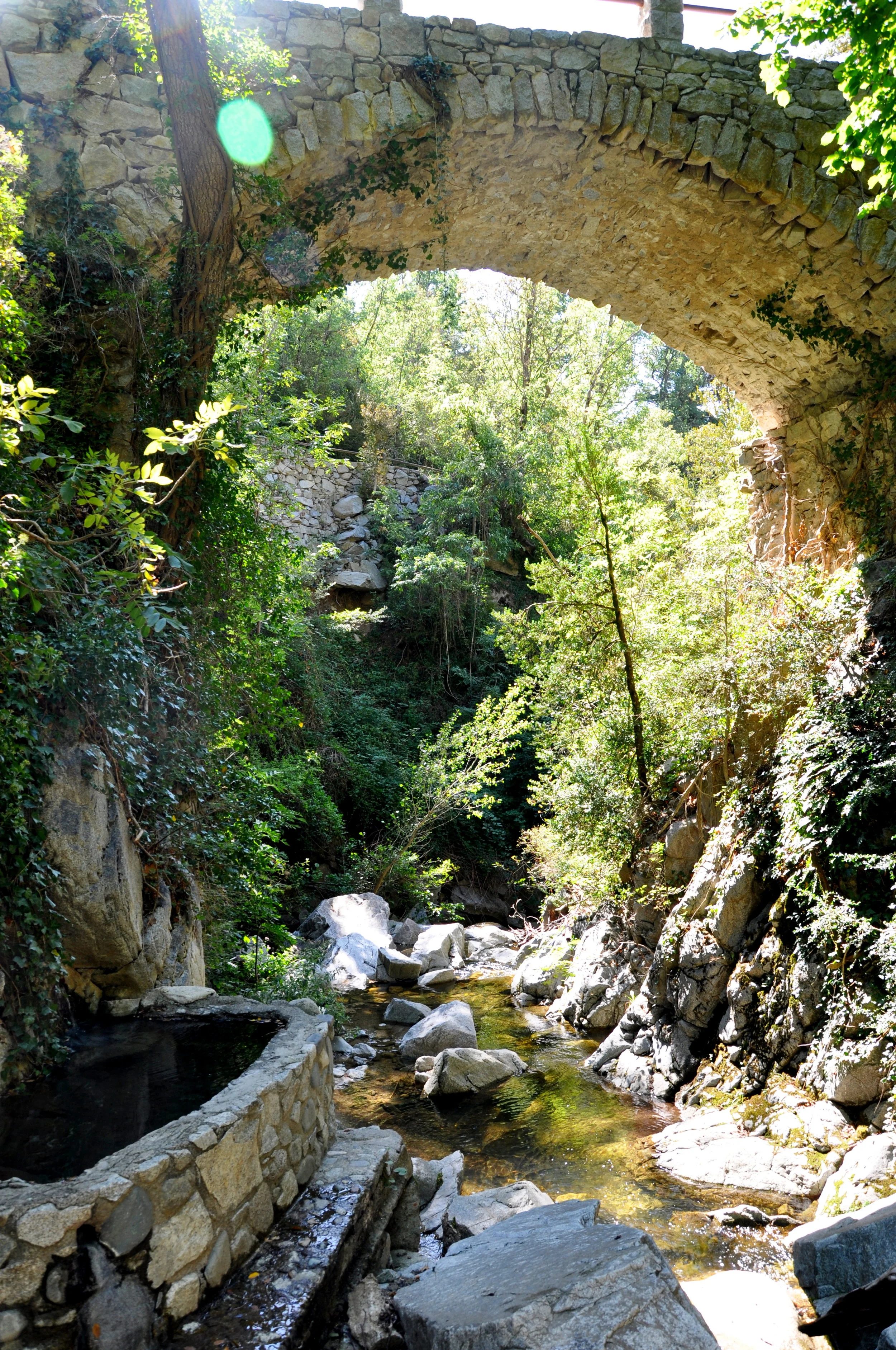 TALLER DE CREATIVITAT A LA NATURA